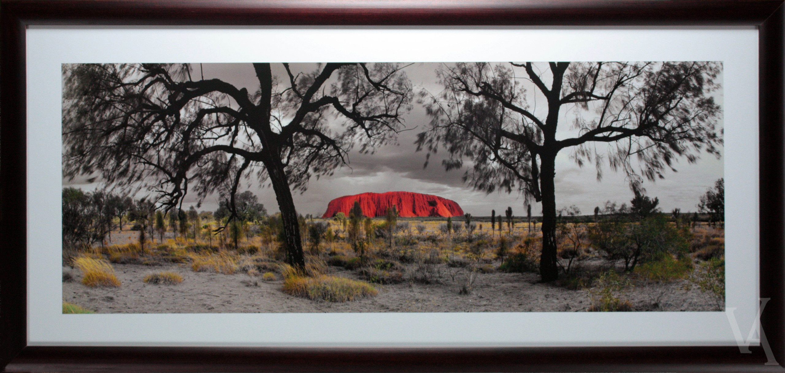 Ken Duncan Photography Framed Signature Series Art Print. Desert Oaks Uluru Panoramic Signed Photo.